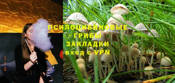 ГАЛЛЮЦИНОГЕННЫЕ ГРИБЫ Протвино