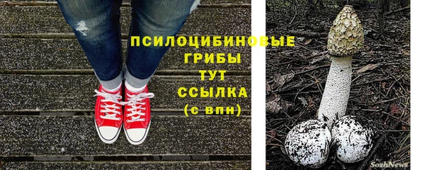 наркотики Алексин