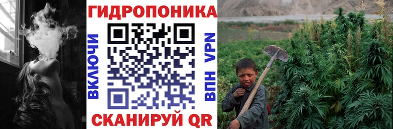 цена Новомичуринск Конопля Bruce Banner